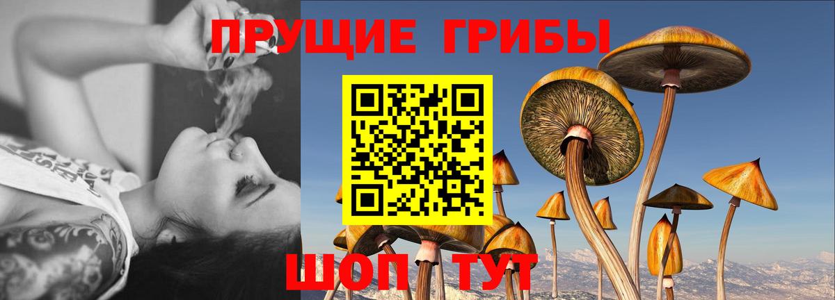 Галлюциногенные грибы мицелий Янаул