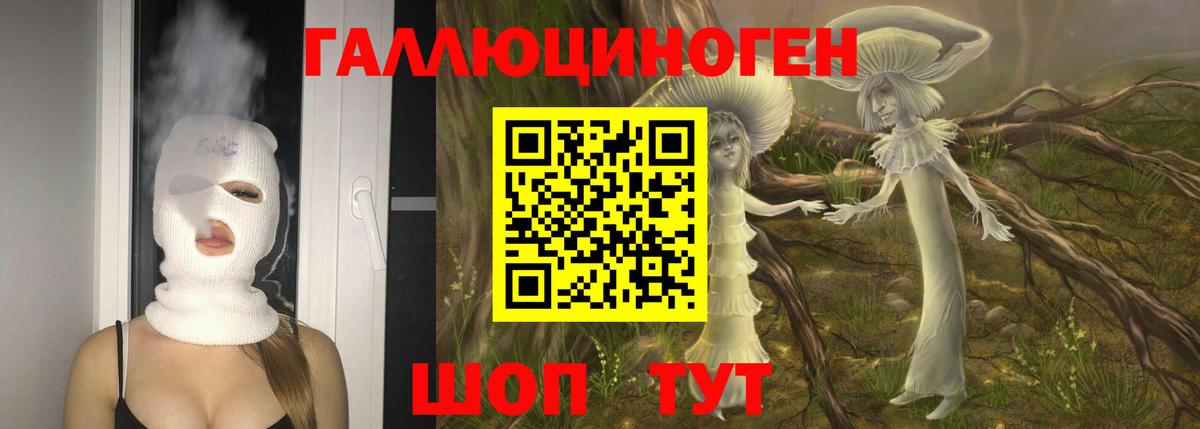 Галлюциногенные грибы MAGIC MUSHROOMS  Галлюциногенные грибы Psilocybe  Вход с VPN  Янаул 